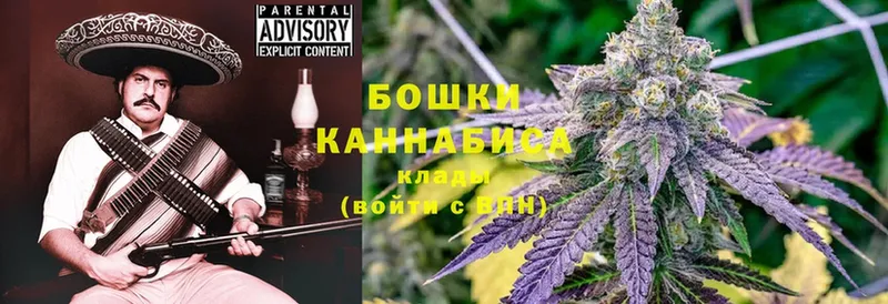 дарнет шоп  Краснозаводск  Марихуана OG Kush 